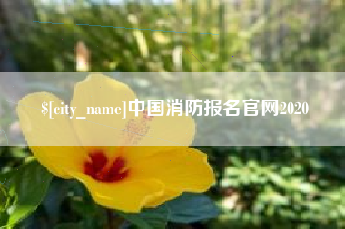 晋中中国消防报名官网2020