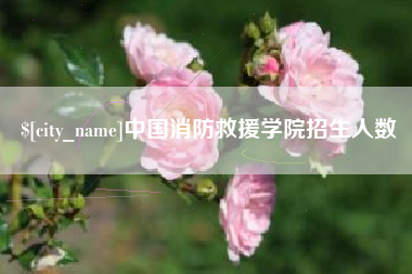 晋中中国消防救援学院招生人数