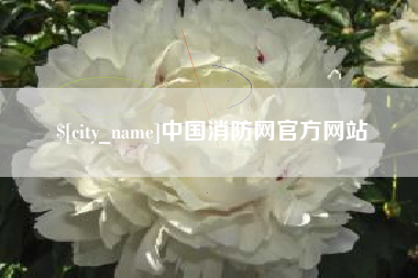晋中中国消防网官方网站