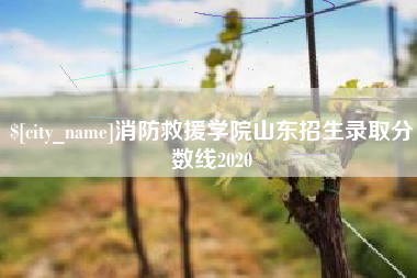 晋中消防救援学院山东招生录取分数线2020