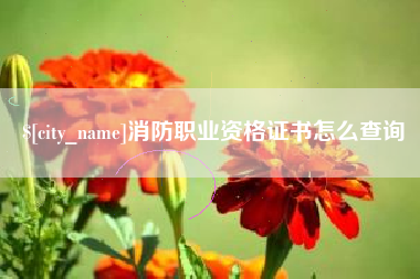 晋中消防职业资格证书怎么查询