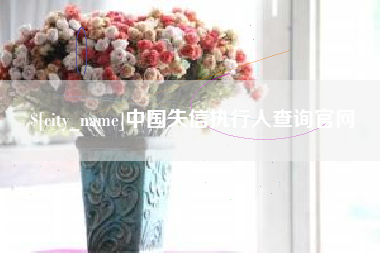 晋中中国失信执行人查询官网