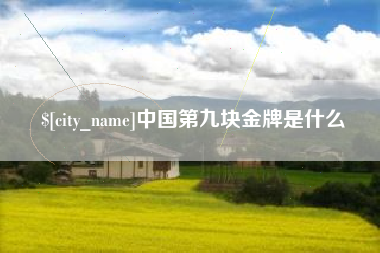 晋中中国第九块金牌是什么