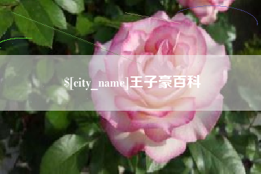 晋中王子豪百科