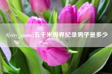 晋中五千米世界纪录男子是多少