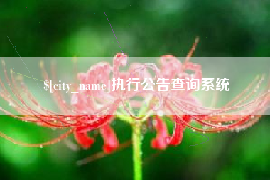 晋中执行公告查询系统