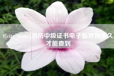 晋中消防中级证书电子版查询多久才能查到