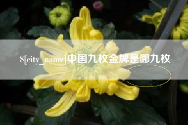 晋中中国九枚金牌是哪九枚