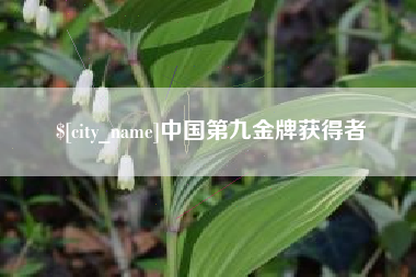 晋中中国第九金牌获得者