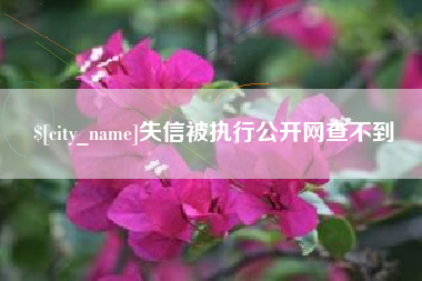 晋中失信被执行公开网查不到