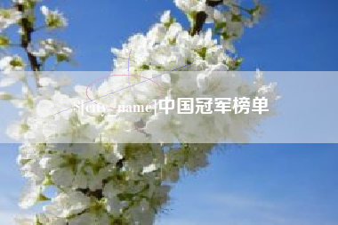 晋中中国冠军榜单