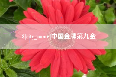 晋中中国金牌第九金