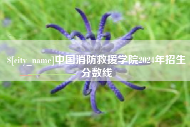 晋中中国消防救援学院2024年招生分数线