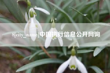 晋中中国执行信息公开网询