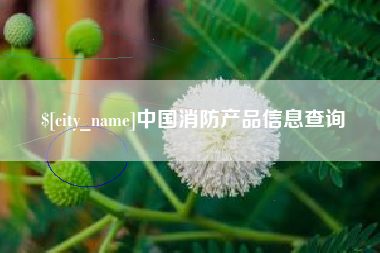 晋中中国消防产品信息查询