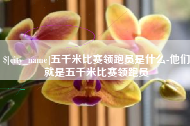 晋中五千米比赛领跑员是什么-他们就是五千米比赛领跑员
