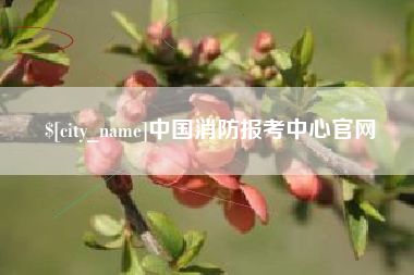 晋中中国消防报考中心官网