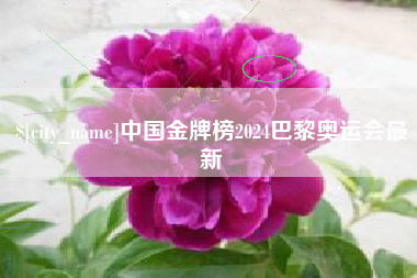 晋中中国金牌榜2024巴黎奥运会最新