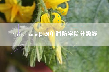 晋中2020年消防学院分数线