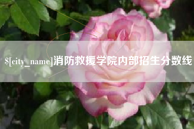 晋中消防救援学院内部招生分数线