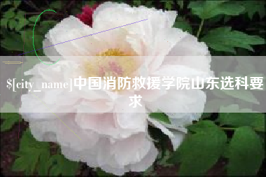 晋中中国消防救援学院山东选科要求
