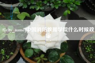 晋中中国消防救援学院什么时候政审
