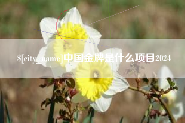 晋中中国金牌是什么项目2024