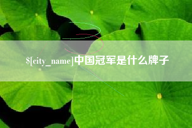 晋中中国冠军是什么牌子
