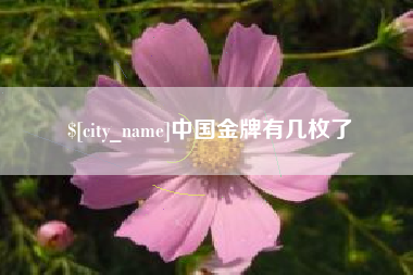 晋中中国金牌有几枚了