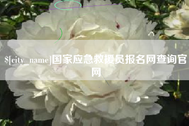 晋中国家应急救援员报名网查询官网
