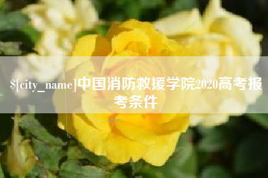 晋中中国消防救援学院2020高考报考条件