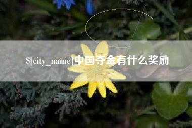 晋中中国夺金有什么奖励