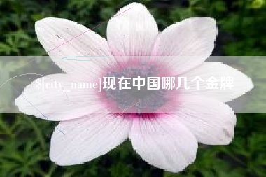 晋中现在中国哪几个金牌