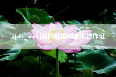 晋中消防证国网查询操作证