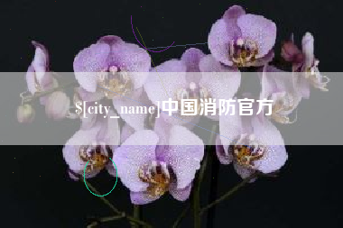 晋中中国消防官方