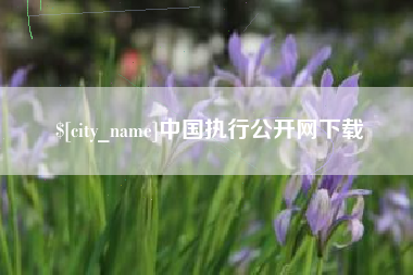 晋中中国执行公开网下载
