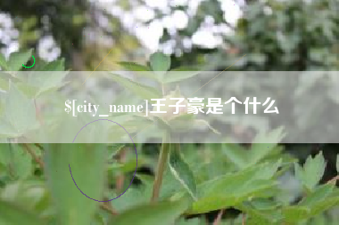 晋中王子豪是个什么