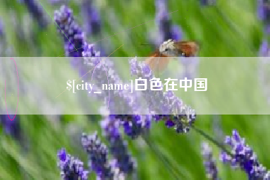 晋中白色在中国