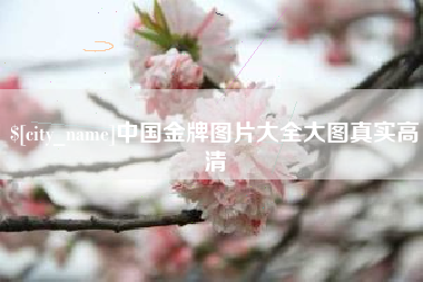 晋中中国金牌图片大全大图真实高清