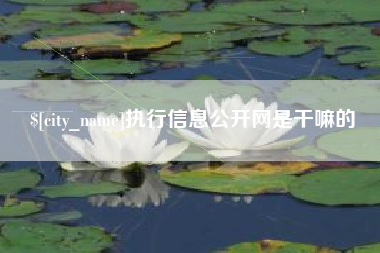晋中执行信息公开网是干嘛的