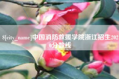 晋中中国消防救援学院浙江招生2020分数线