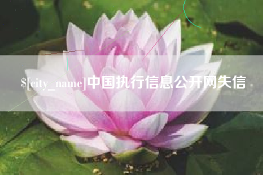 晋中中国执行信息公开网失信