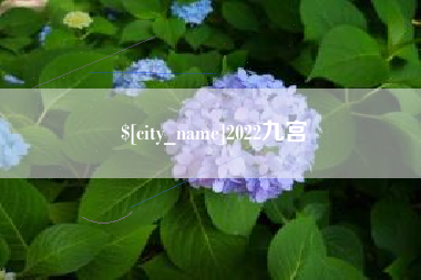 晋中2022九宫