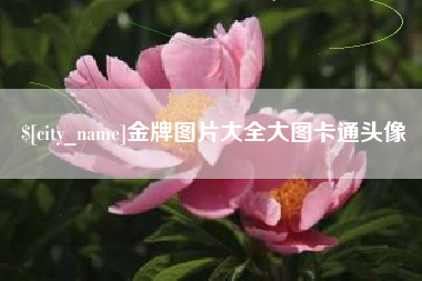 晋中金牌图片大全大图卡通头像