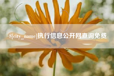 晋中执行信息公开网查询免费