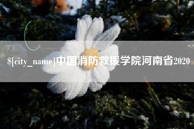 晋中中国消防救援学院河南省2020